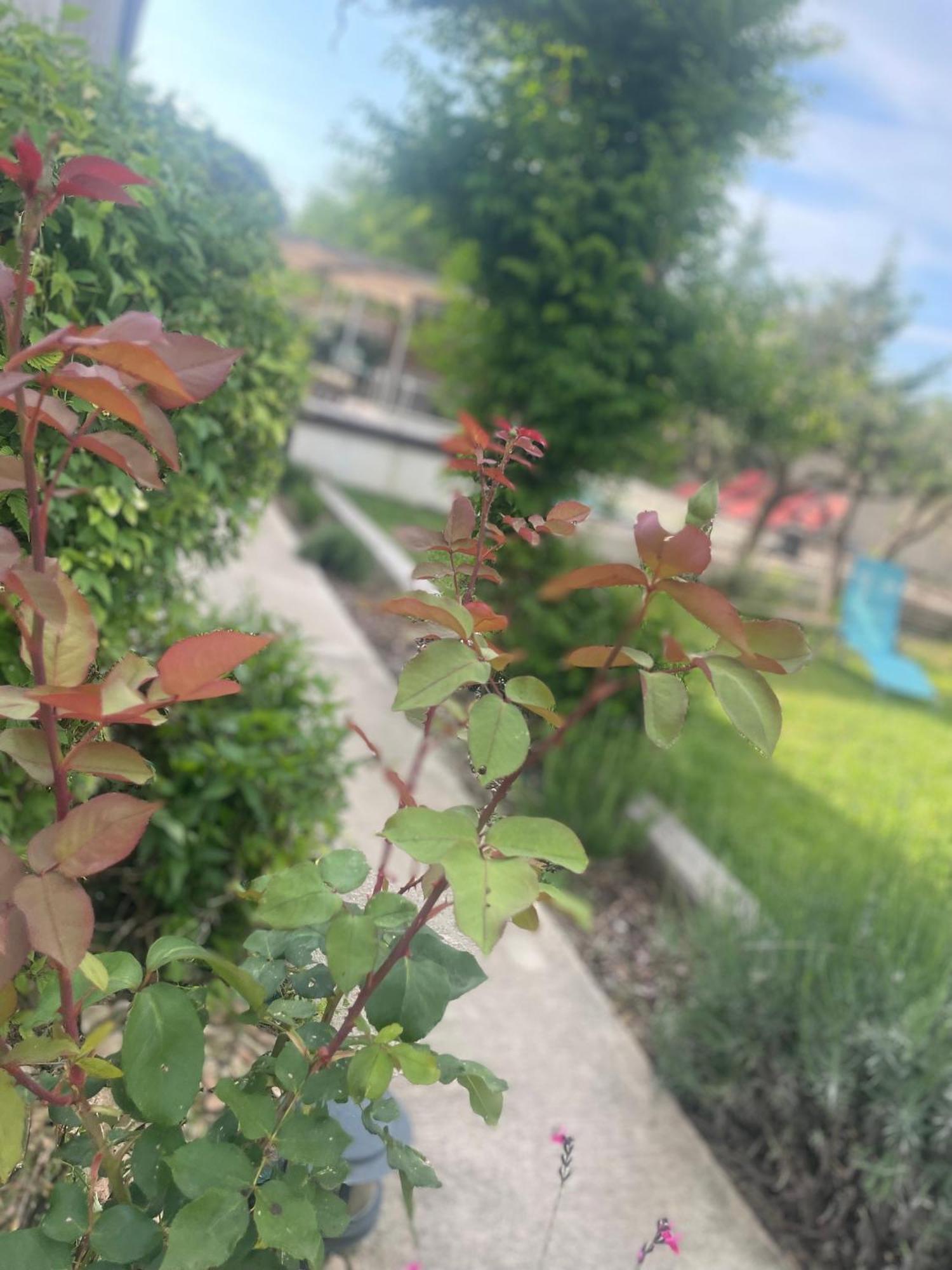 Villa Le Luberon Mérindol Kültér fotó